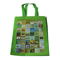 襄阳LB11覆膜无纺布广告袋